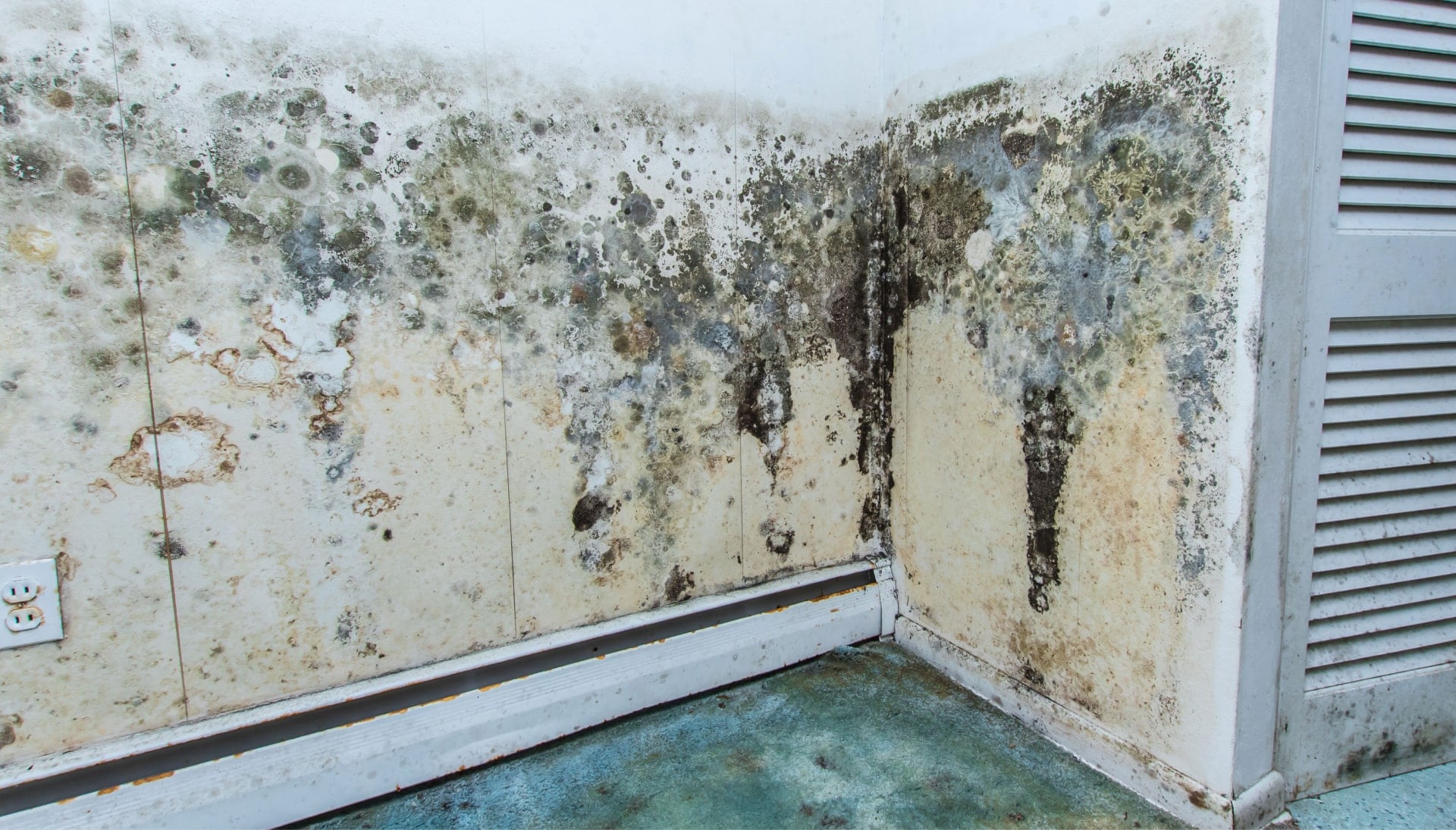 Professional mold removal, odor control, and water damage restoration service in Grand Rapids, Michigan.