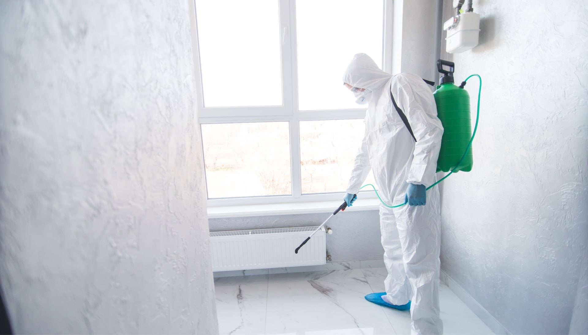 We provide the highest-quality mold inspection, testing, and removal services in the Grand Rapids, Michigan area.